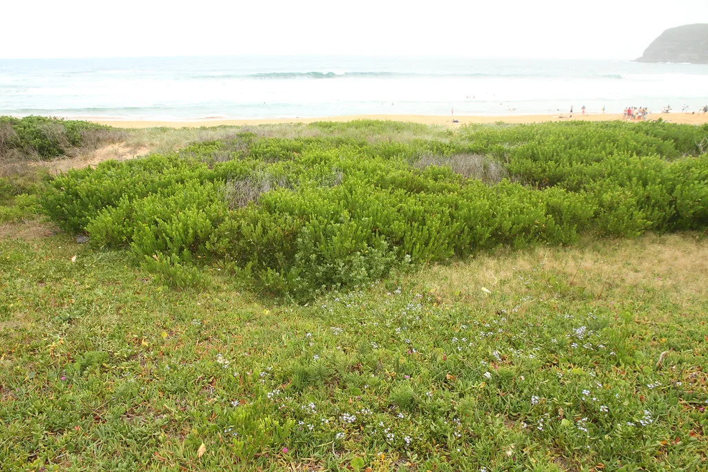 Marine environmental survey work